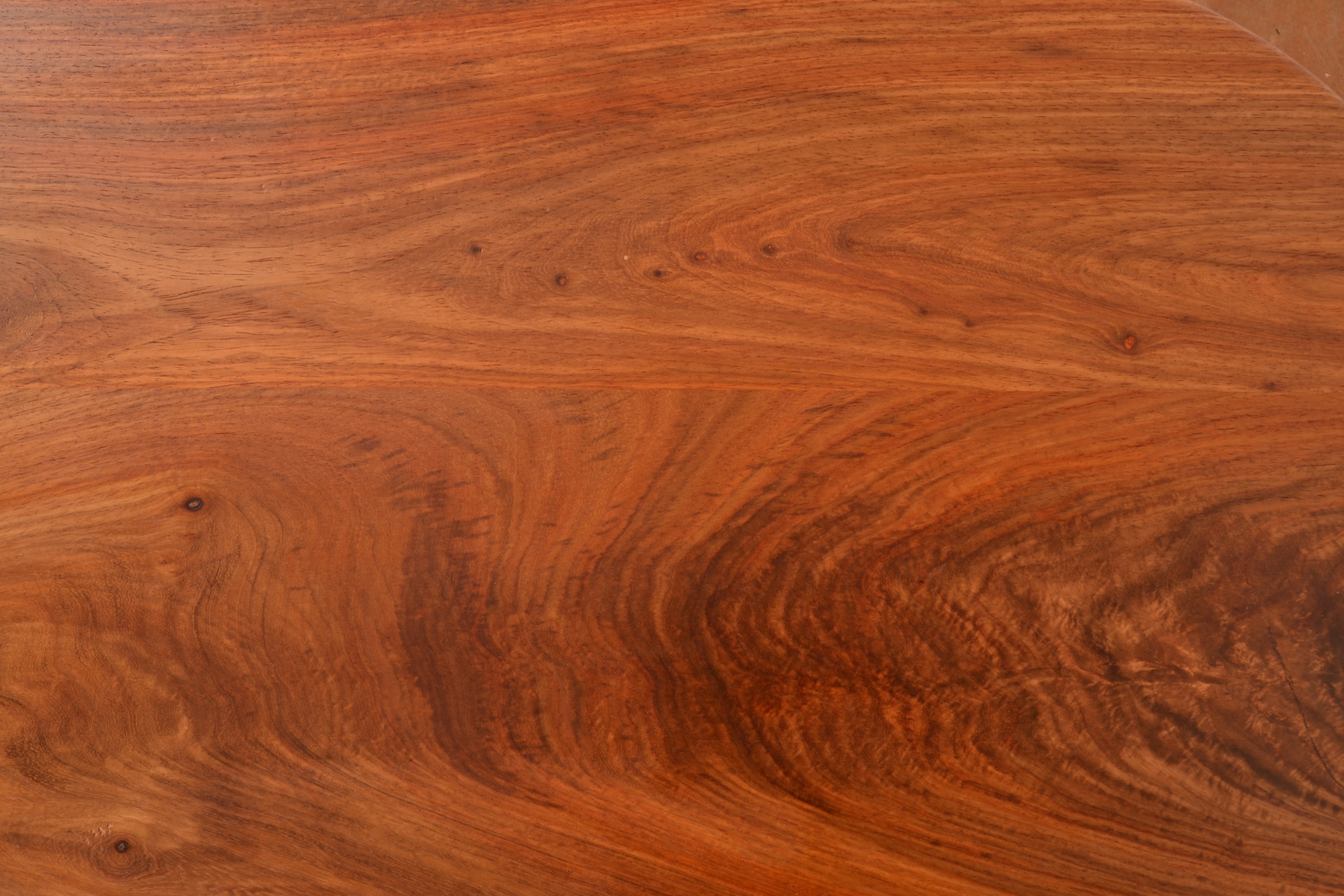 Clapton Range: The Layla Display Table